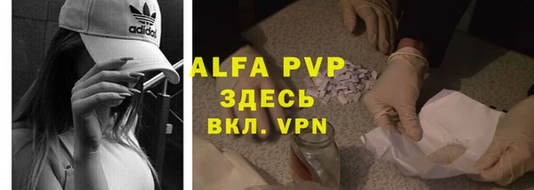 PSILOCYBIN Елизово
