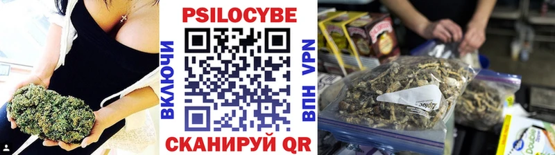 Купить закладки  Барабинск  Псилоцибиновые грибы Psilocybe 